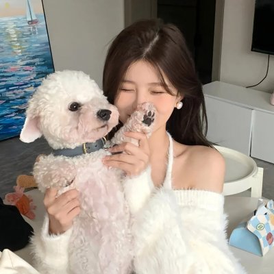 晨光正好 在线观看
